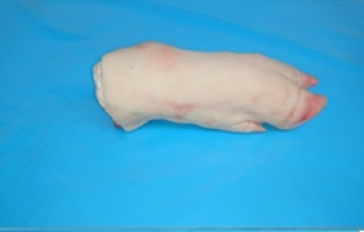 Schweinefüssle vorne mit Zehen